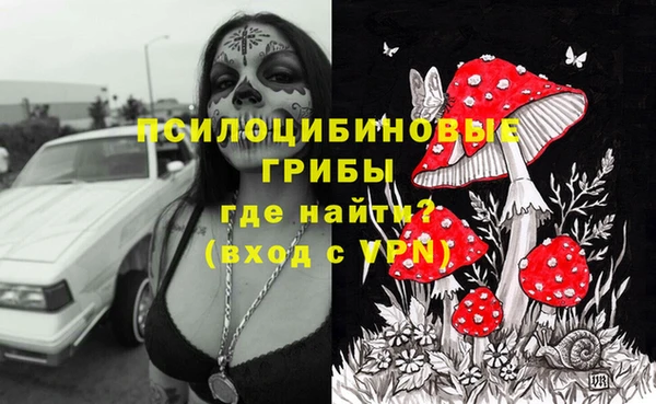 mdpv Арсеньев