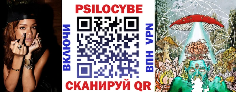 Псилоцибиновые грибы Cubensis  Оленегорск 